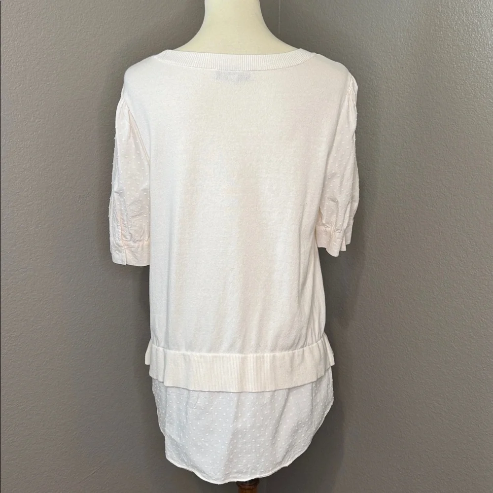 Loft short sleeve sweater LARGE - Picture 2 of 4